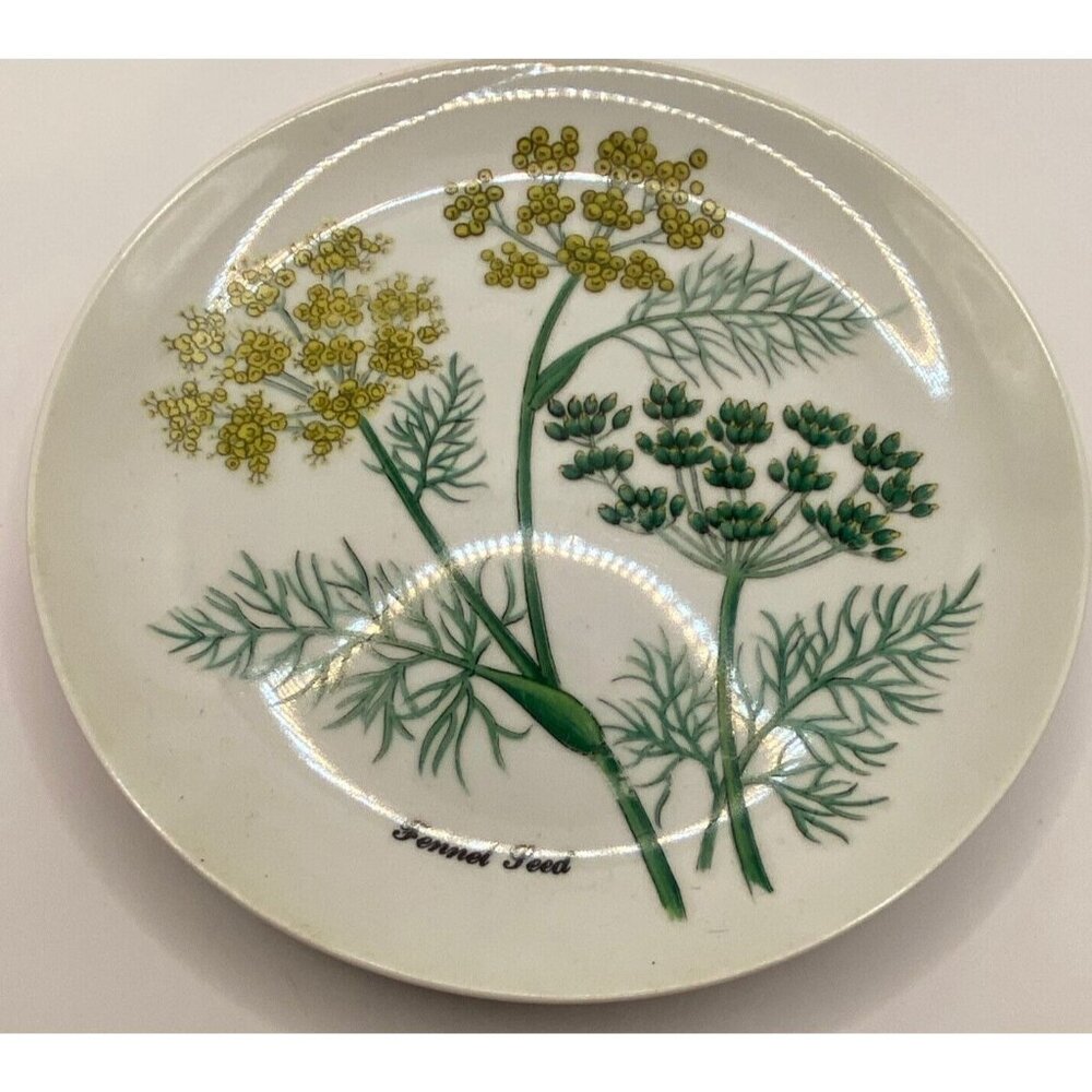 Vintage Shafford botanical 5 ceramic salad plates herbs seeds poppy ginger Japan - Picture 4 of 10